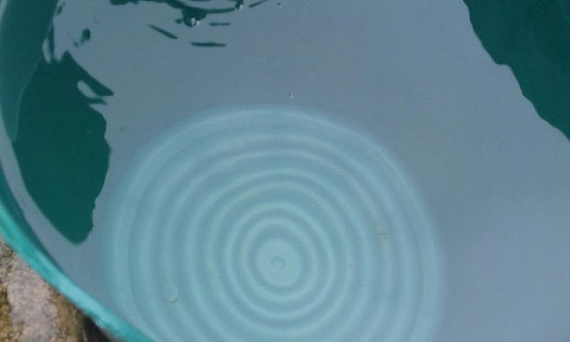 Vendo 2 Casas Em Fra...