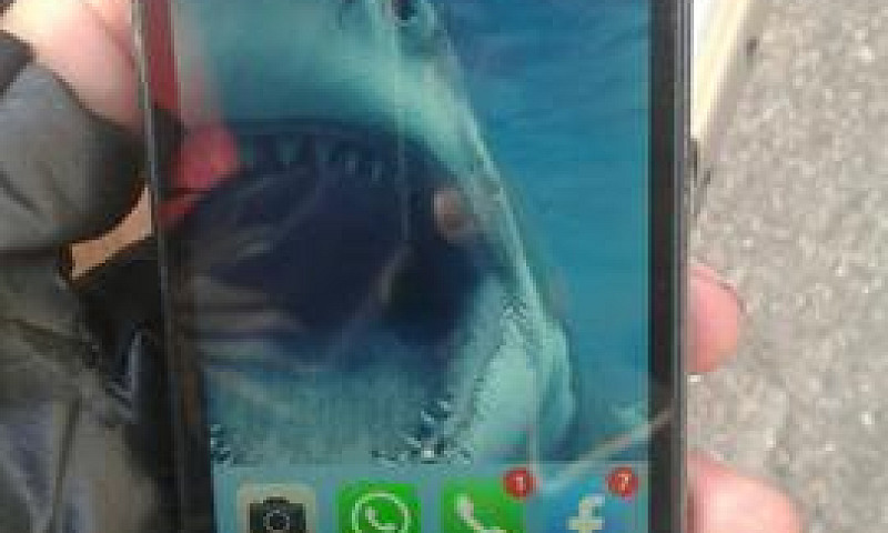 Iphone 5S Icloud Lim...
