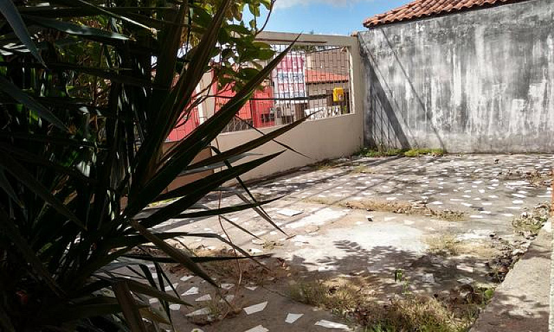 Casa No Galiléia (Pa...