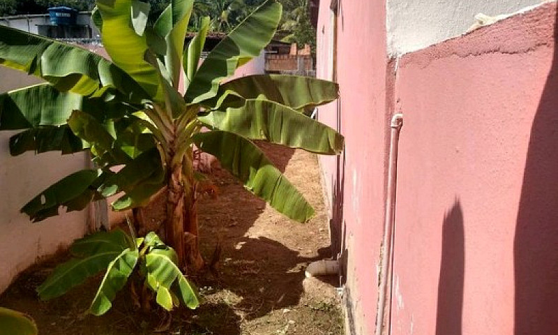 Vendo 2 Casas Em Fra...