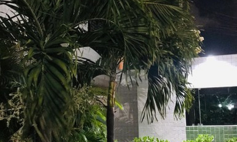 Vendo Apt No Janga P...