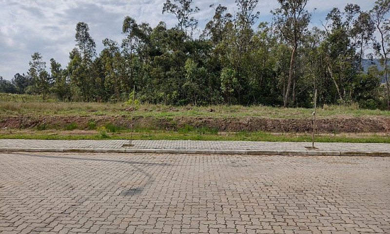  Vendo Terreno 12/25...