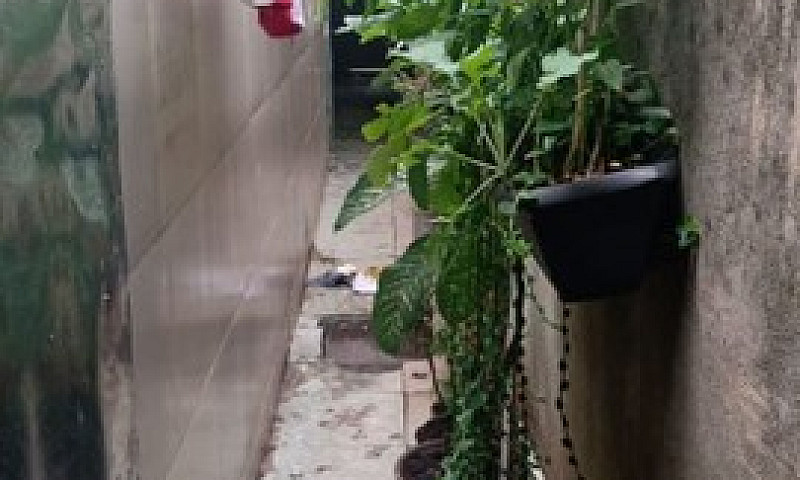 Vendo Casa Barato Sa...