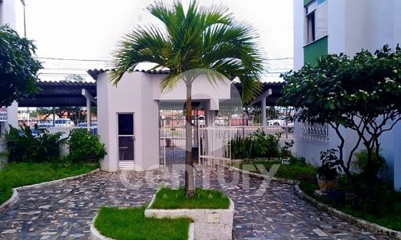Apartamento Para Alu...