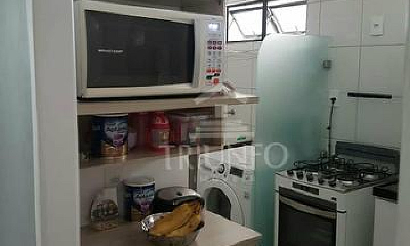 Apartamento No Ilha ...