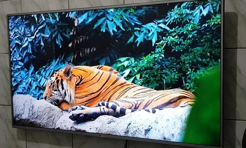 Tv Lg 55P Led -Gigan...