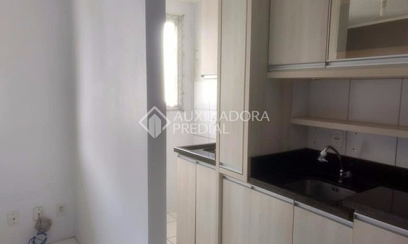 Canela - Apartamento...