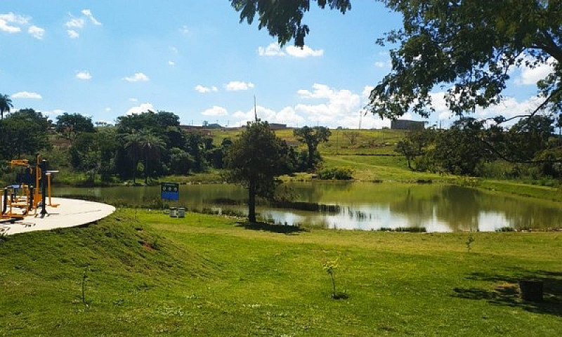 Lotes A Venda No Par...