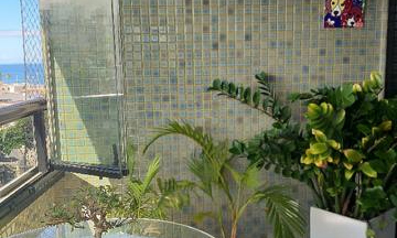 Apartamento De 3/4 C...