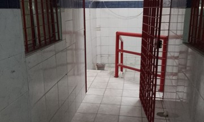 Alguel De Casa Carna...