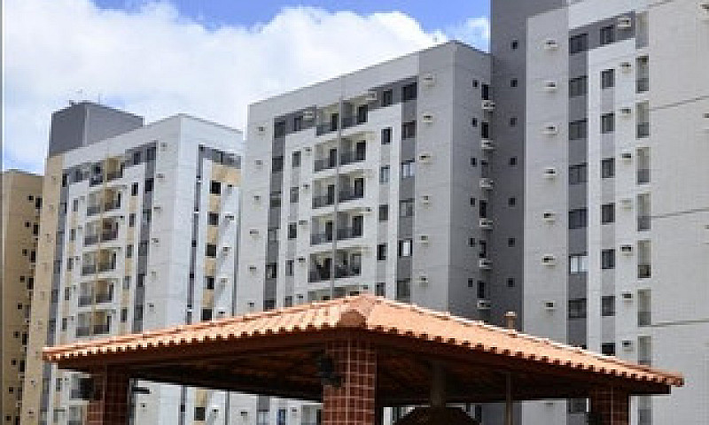 Parque Das Árvores...