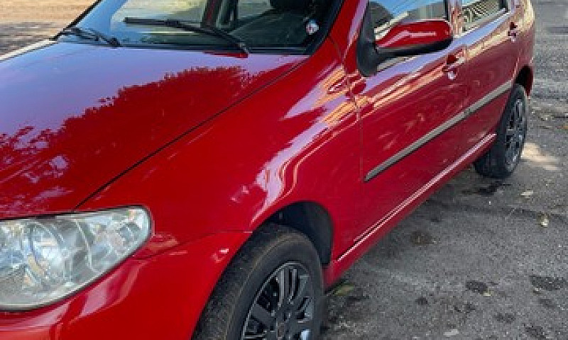 Palio Elx Flex 1.3 4...