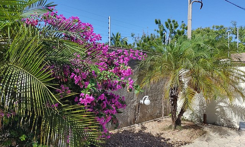 Vendo Ou Alugo Casa ...