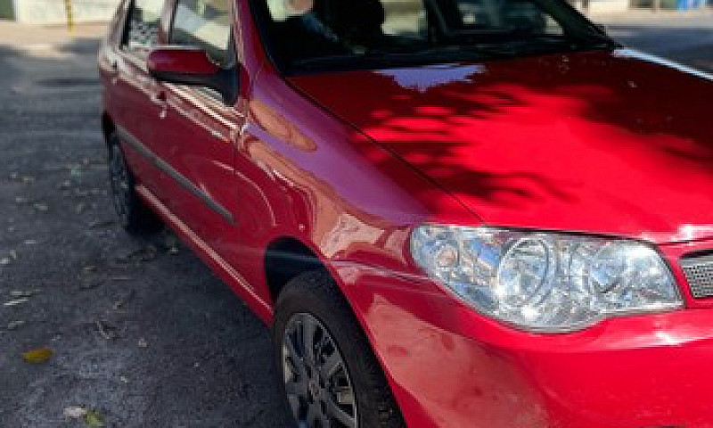 Palio Elx Flex 1.3 4...