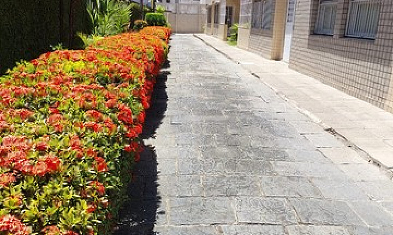 Apartamento Com 03 Q...