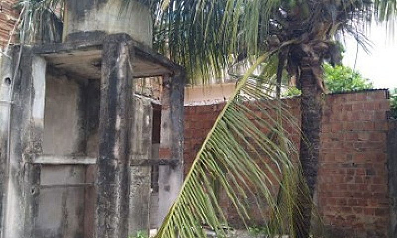 Casa Solta Em Rio Do...