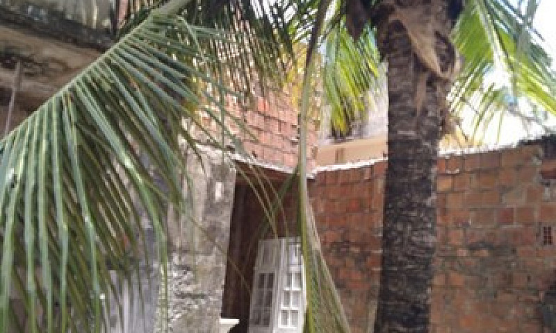 Casa Solta Em Rio Do...