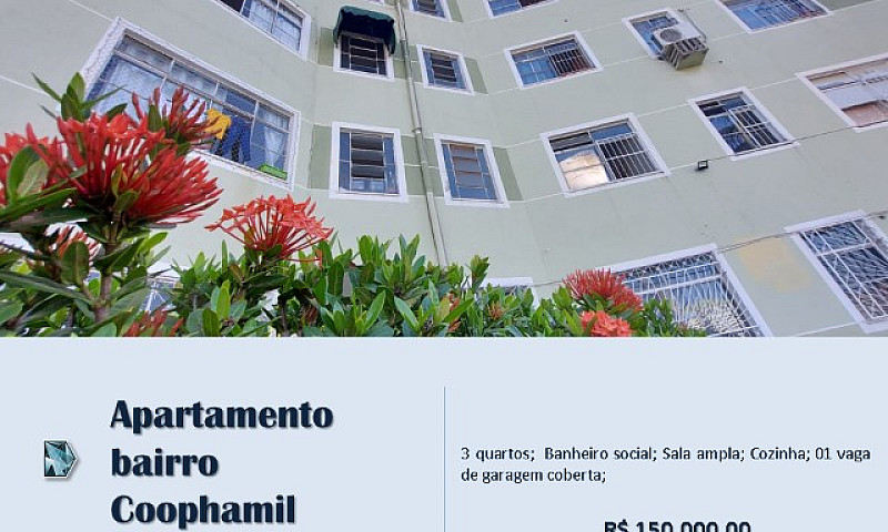 Apartamento Bairro C...