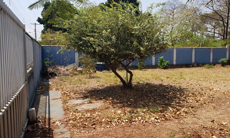 Casa Para Alugar No ...
