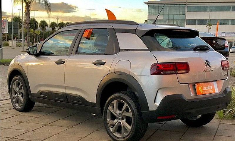 C4 Cactus 2021/2022 ...