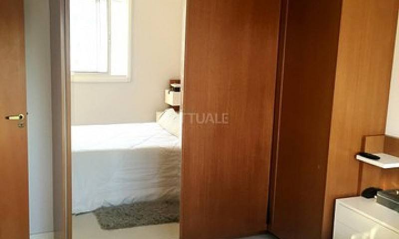 Residencial Lion De ...