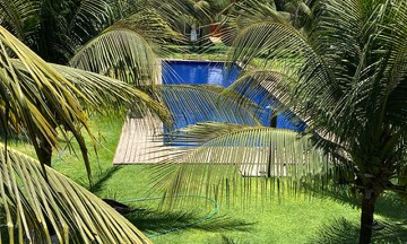La Fazenda Canoa Que...