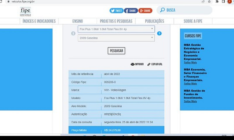 Fox 1.0 Flex 2009...