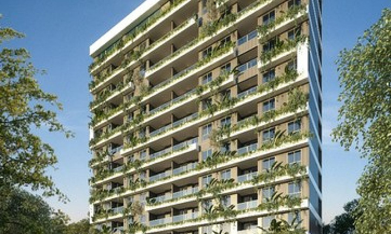 Lançamento Luciano F...