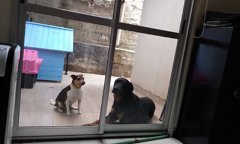 Vendo Ágio Ou Alugo ...