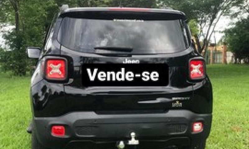 Renegade 1.8 Manual ...