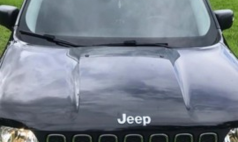 Renegade 1.8 Manual ...