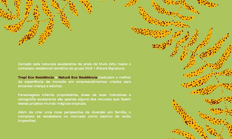 Lancamento Em Muro A...