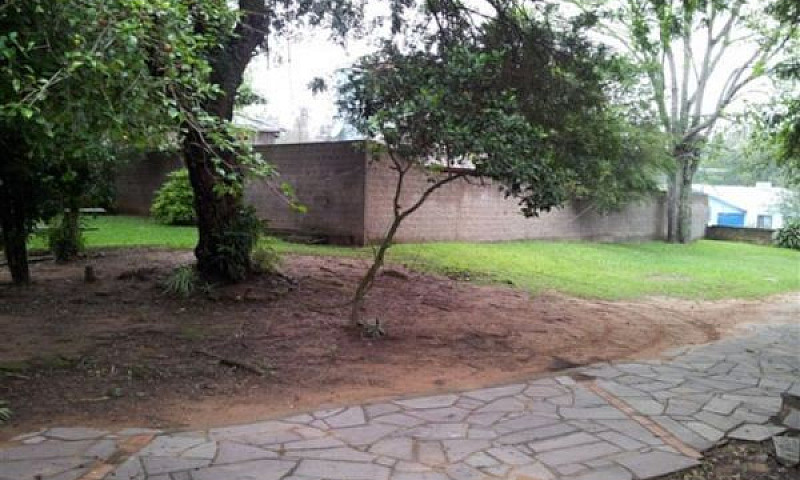 São Leopoldo - Casa ...