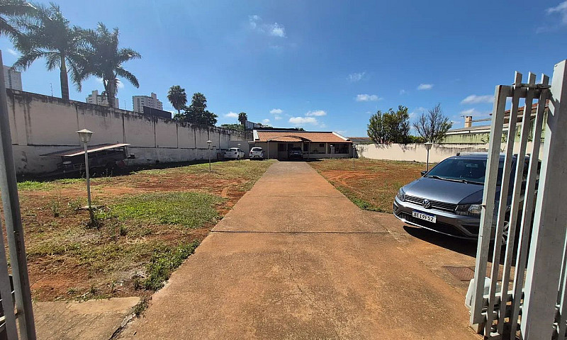 Oportunidade Lote Co...