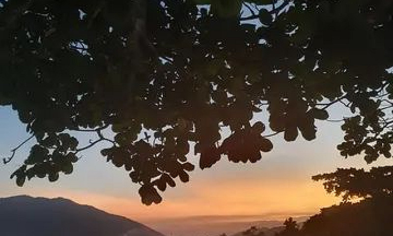 Imóvel No Litoral De...