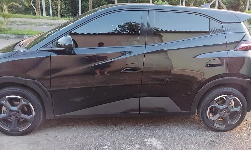 Byd Dolphin Mini (El...