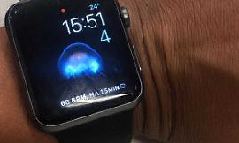 Apple Watch Séries 1...