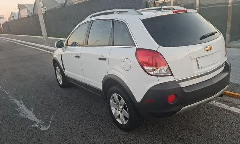 Capitiva Sport Fwd 2...