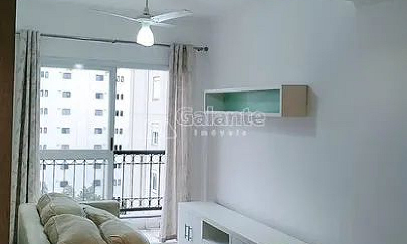 Apartamento - Cambuí...
