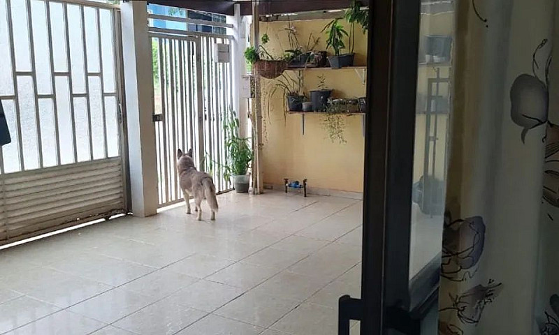 Vendo Casa No Varjao...