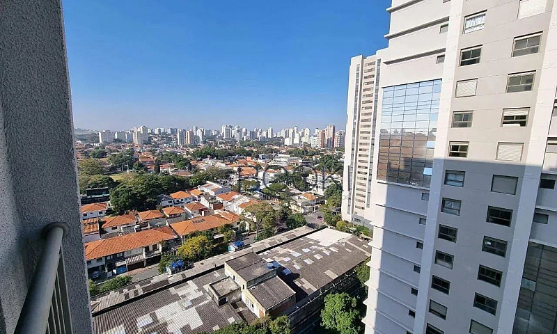 Oportunidade - Botha...