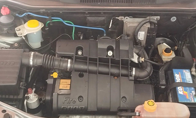 Fiat Palio Celebrati...