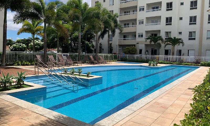 Apartamento Com 3 Qu...