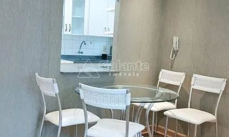 Apartamento - Cambuí...