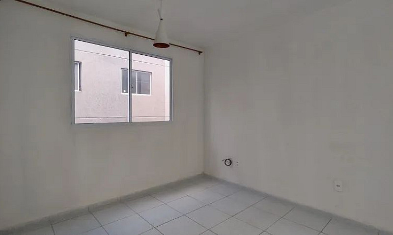 Pernambuco - Camarag...