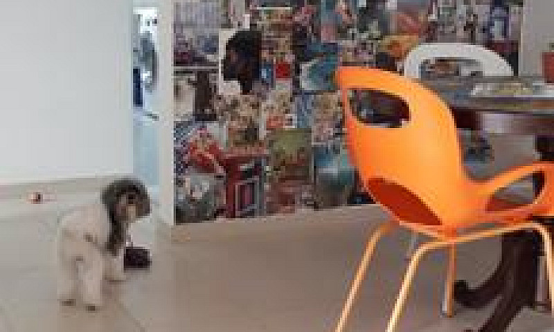 Apartamento 2 Quarto...