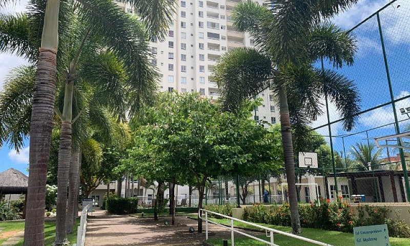 Apartamento Com 3 Qu...