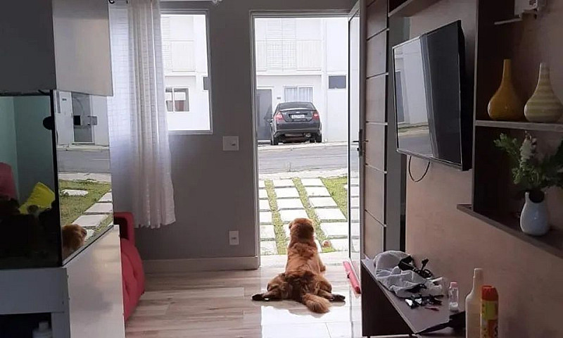 Sobrado 62M² 2 Dormi...