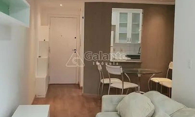 Apartamento - Cambuí...