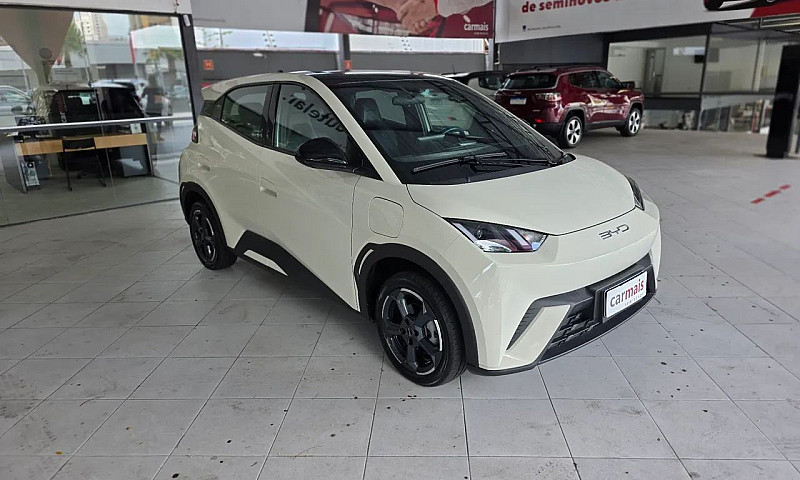 Byd Dolphin Mini (El...